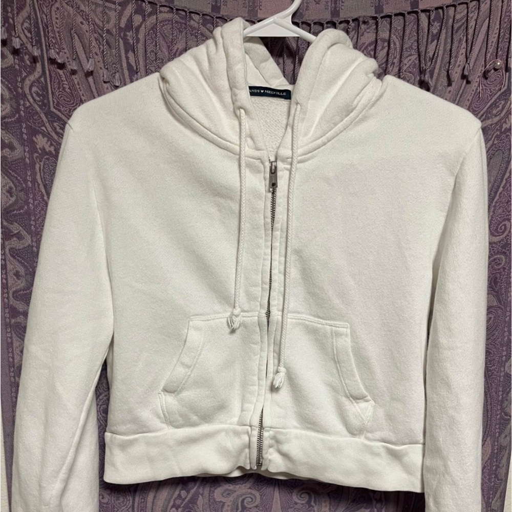 Brandy Melville Cropped Zip-Up Hoodie